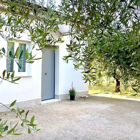 Casina Mia Assisi Airport Perugia Umbriafiere Бастия-Умбра